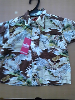 DVC00205.jpg