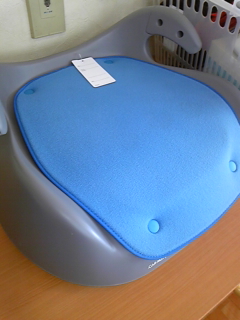 DVC00425.jpg